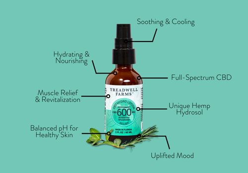 Hydrate your skin nourish your body with Relief CBD Hydro Lotion