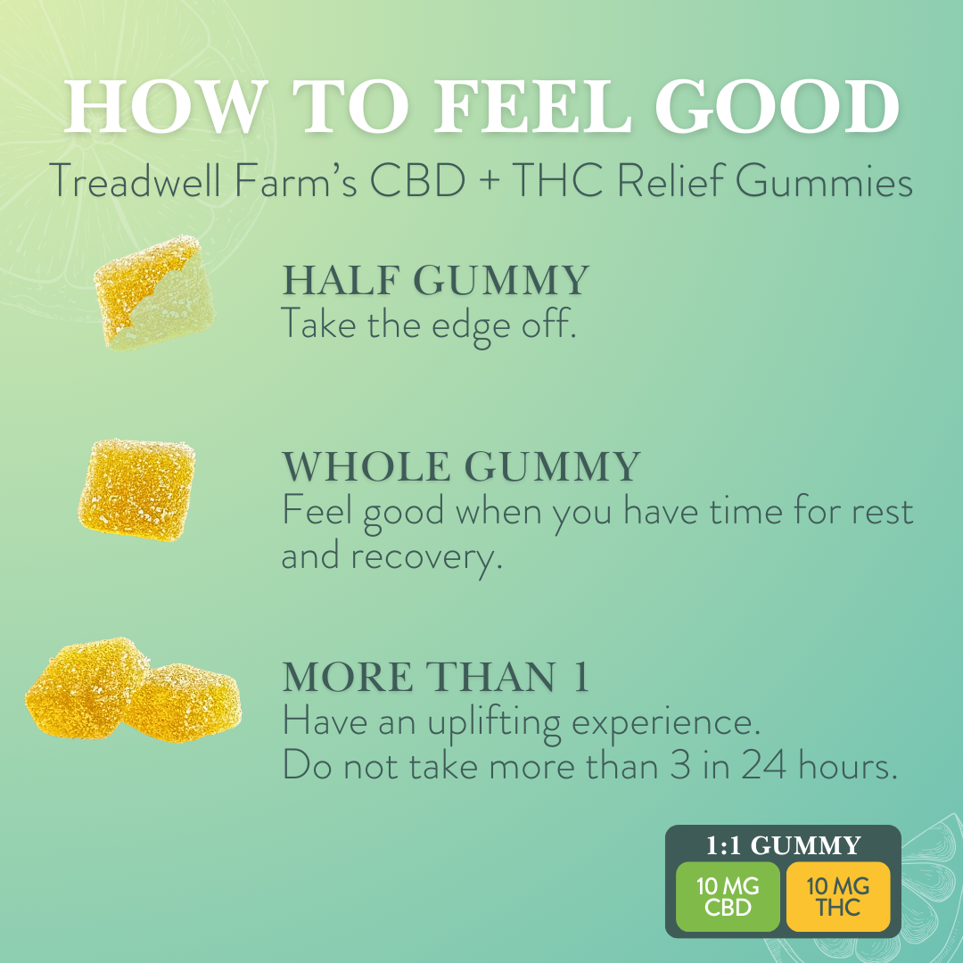 Relief CBD Gummies (1:1)